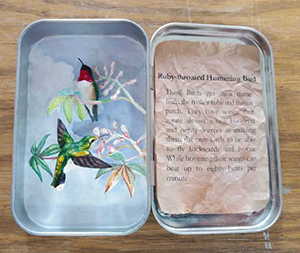 Altoid Box Sculpture of a Ruby Throated Humming Bird